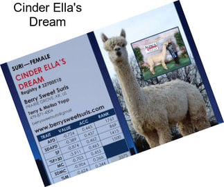 Cinder Ella\'s Dream