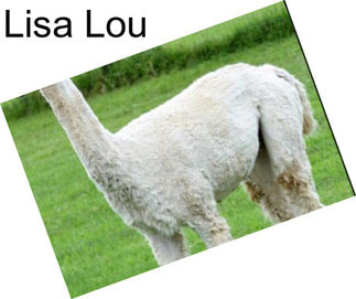 Lisa Lou