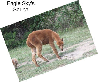 Eagle Sky\'s Sauna