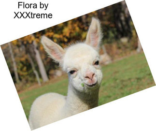 Flora by XXXtreme