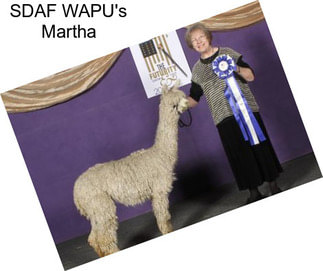 SDAF WAPU\'s Martha