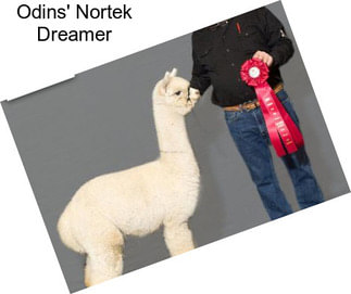 Odins\' Nortek Dreamer