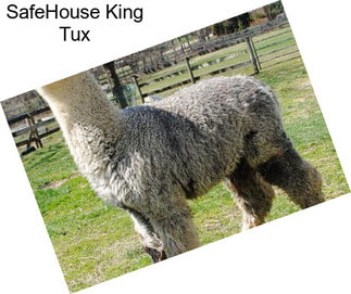 SafeHouse King Tux