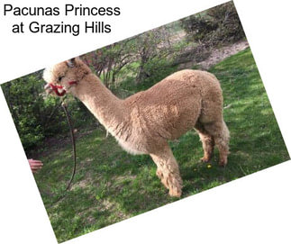 Pacunas Princess at Grazing Hills