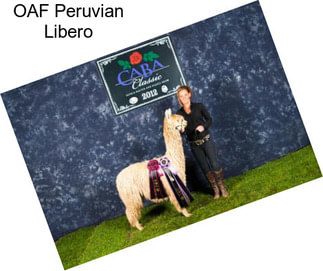 OAF Peruvian Libero