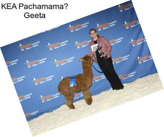 KEA Pachamama? Geeta