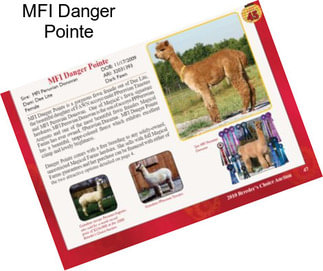 MFI Danger Pointe