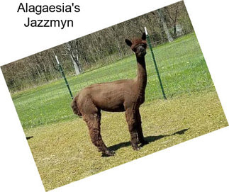 Alagaesia\'s Jazzmyn