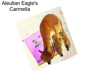 Aleutian Eagle\'s Carmella