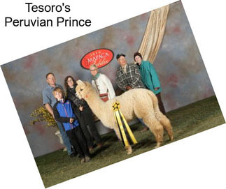Tesoro\'s Peruvian Prince