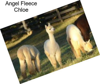Angel Fleece Chloe