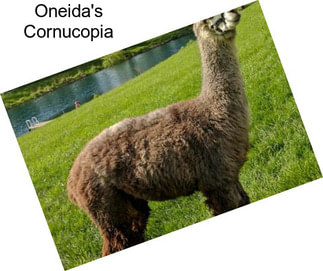 Oneida\'s Cornucopia