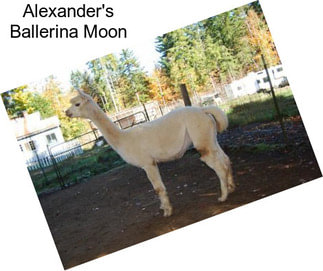 Alexander\'s Ballerina Moon
