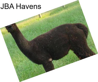 JBA Havens