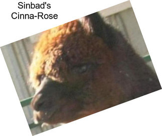 Sinbad\'s Cinna-Rose