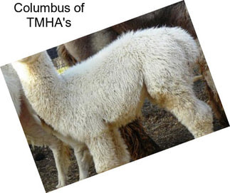 Columbus of TMHA\'s