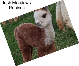 Irish Meadows Rubicon