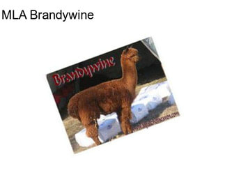 MLA Brandywine