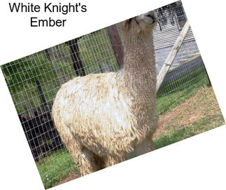 White Knight\'s Ember