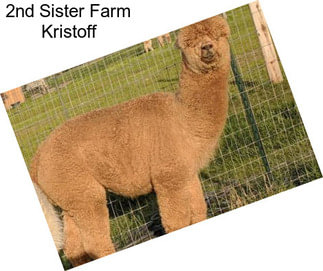 2nd Sister Farm Kristoff