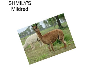 SHMILY\'S Mildred