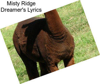Misty Ridge Dreamer\'s Lyrics