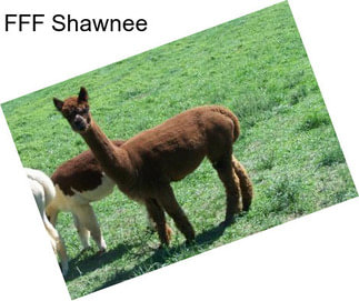 FFF Shawnee