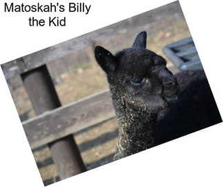Matoskah\'s Billy the Kid