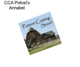 CCA Potosi\'s Annabel