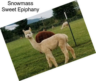 Snowmass Sweet Epiphany