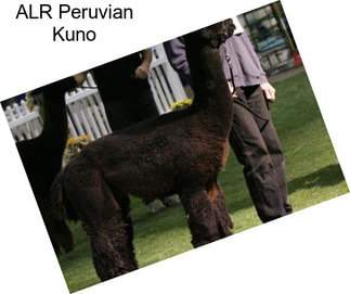 ALR Peruvian Kuno