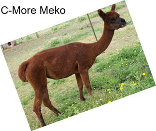 C-More Meko