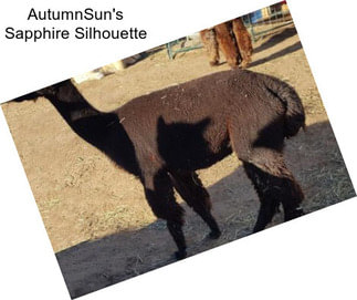 AutumnSun\'s Sapphire Silhouette