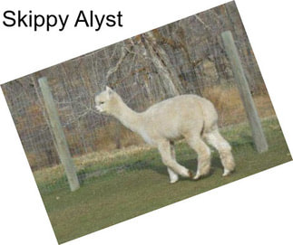 Skippy Alyst