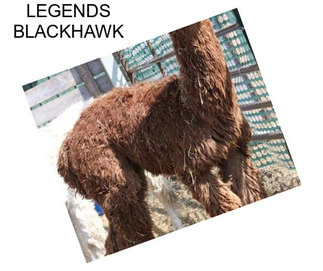 LEGENDS BLACKHAWK