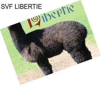 SVF LIBERTIE