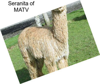Seranita of MATV