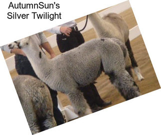 AutumnSun\'s Silver Twilight