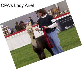 CPA\'s Lady Ariel