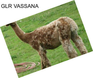 GLR VASSANA