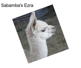 Sabamba\'s Ezra