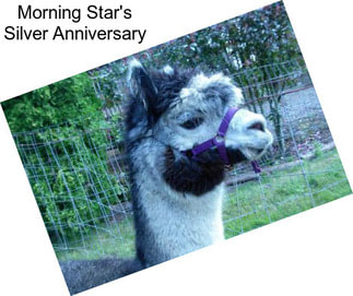 Morning Star\'s Silver Anniversary