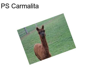 PS Carmalita