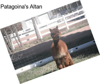 Patagoina\'s Altan