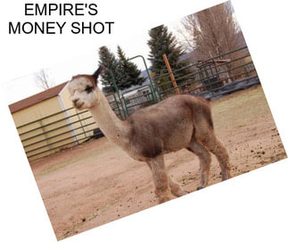 EMPIRE\'S MONEY SHOT