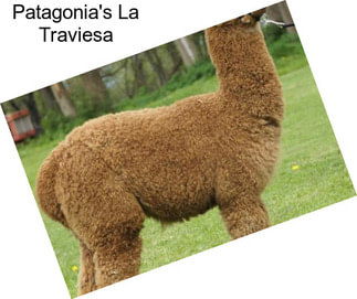 Patagonia\'s La Traviesa