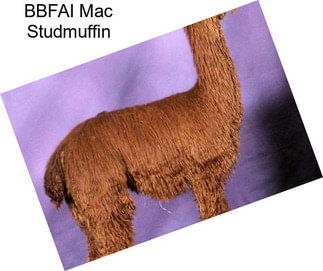 BBFAI Mac Studmuffin