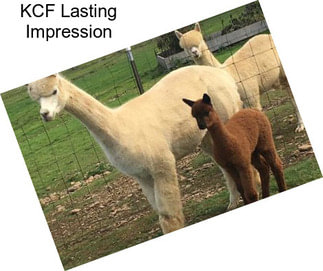 KCF Lasting Impression