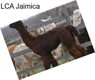 LCA Jaimica