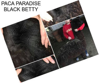 PACA PARADISE BLACK BETTY